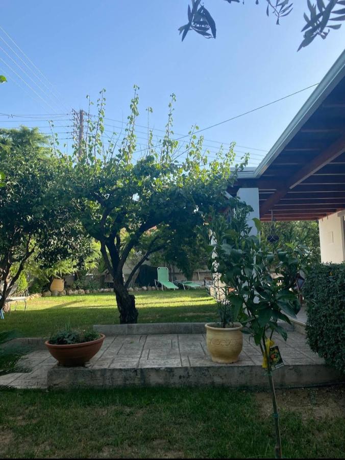 Casa Martina 1 Spata 10Min Athens Airport المظهر الخارجي الصورة