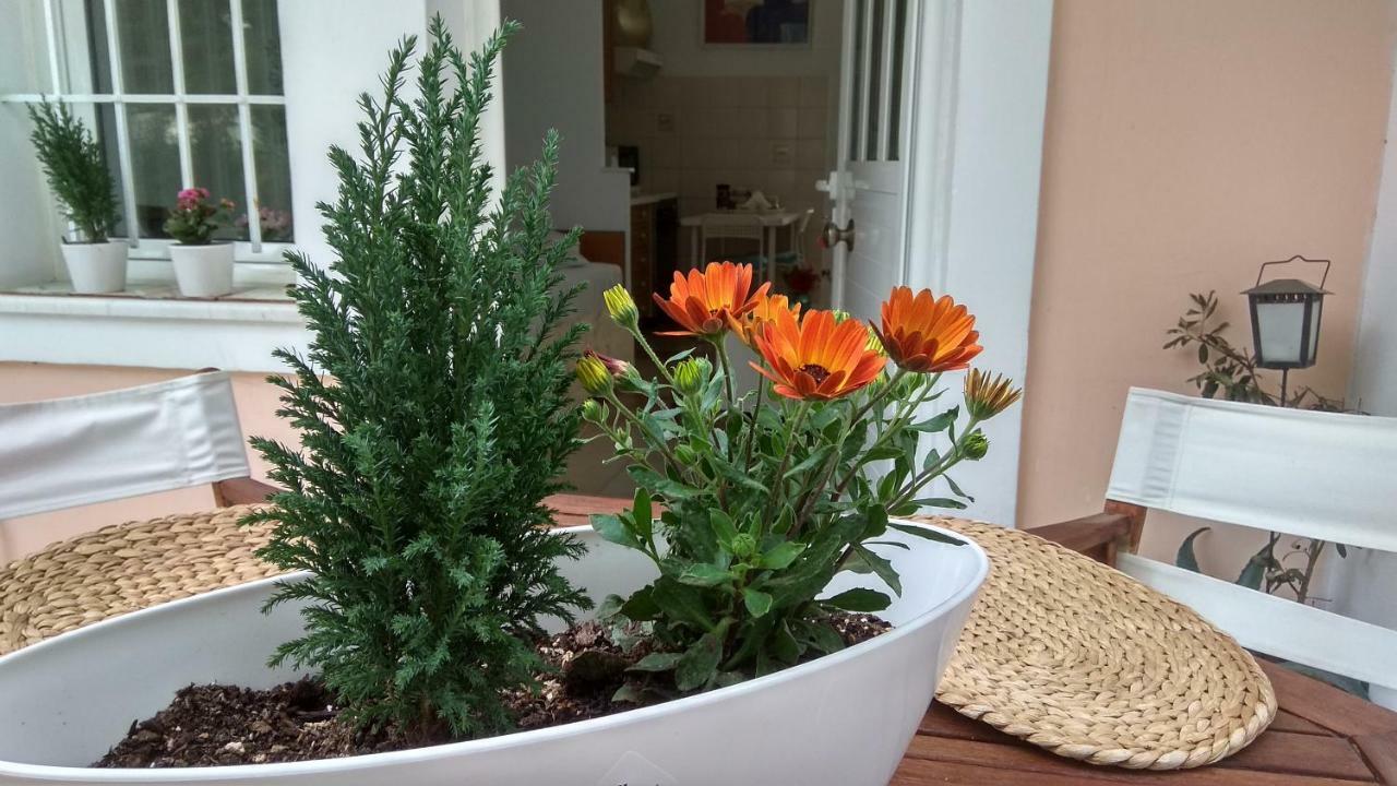 Casa Martina 1 Spata 10Min Athens Airport المظهر الخارجي الصورة